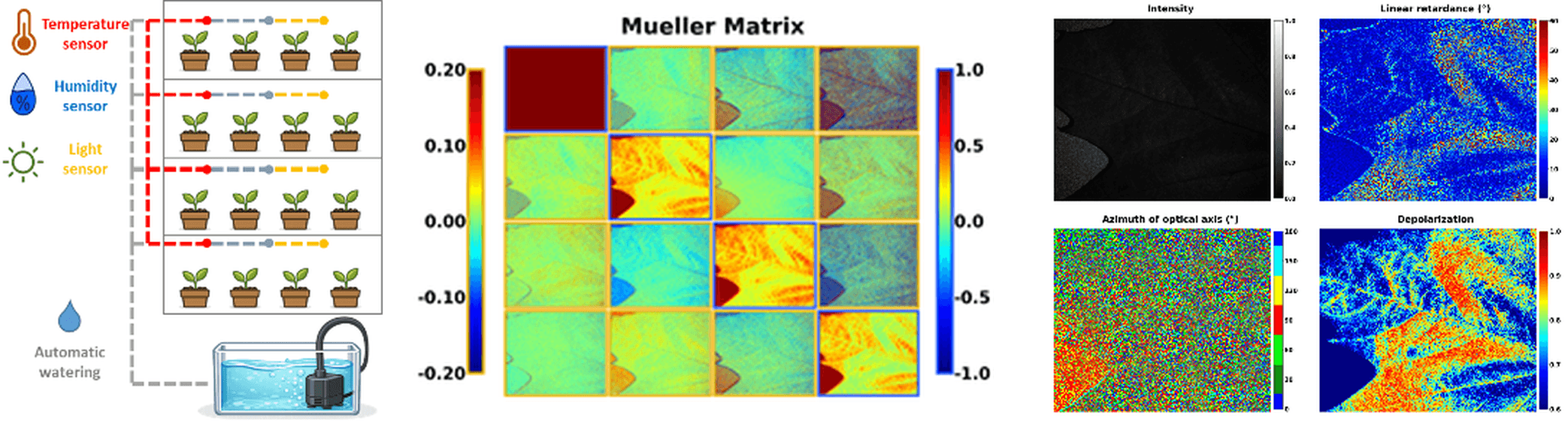 Smart greenhouse, Mueller matrix images and polarimetric maps of a maple leaf