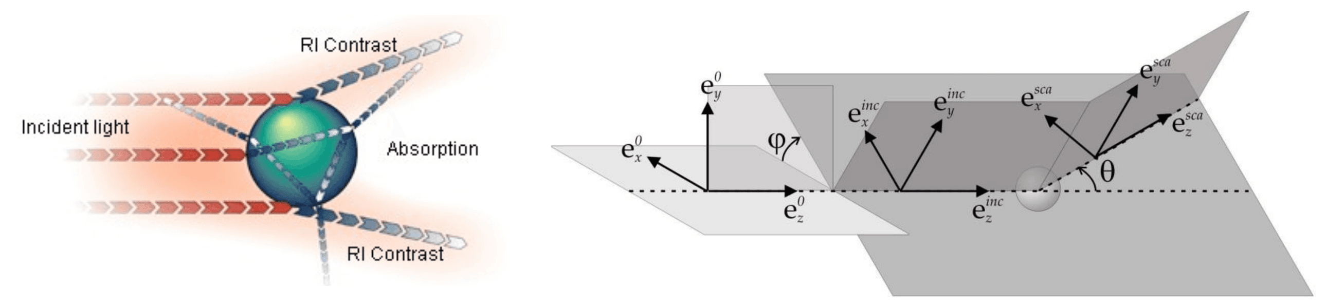 Interaction of Polarized Light with Scattering Optically Anisotropic Media