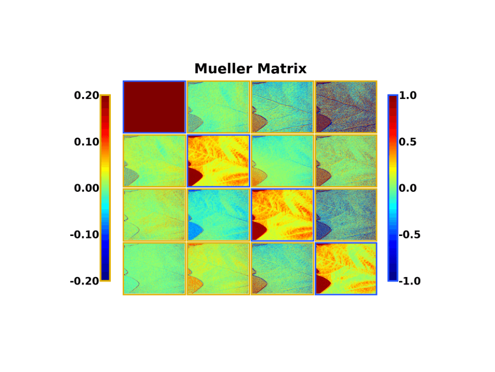 Plant Polarimetry